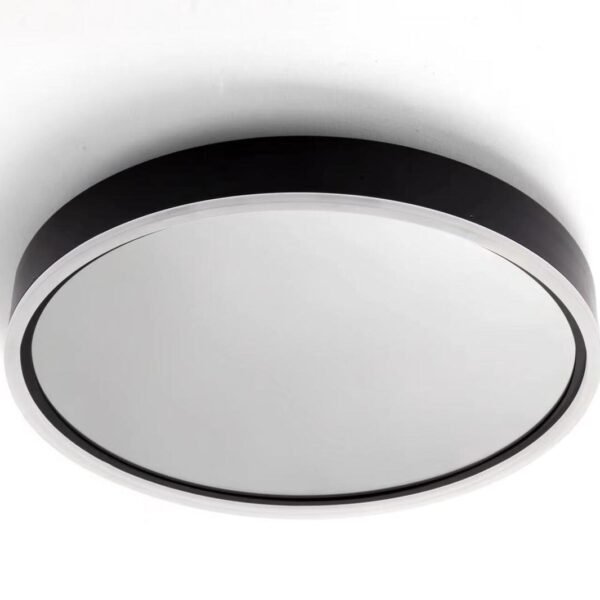 Ceiling Light